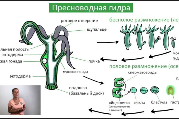 Кракен зеркало krk store com