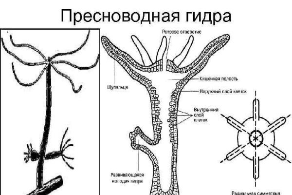 Кракен даркнет как зайти