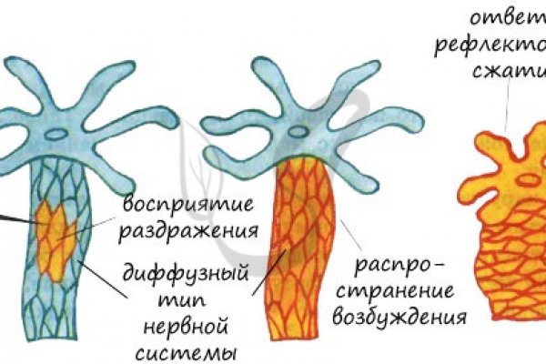 Кракен как зайти на сайт