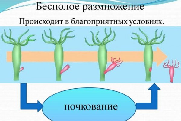 Зеркало тор браузера